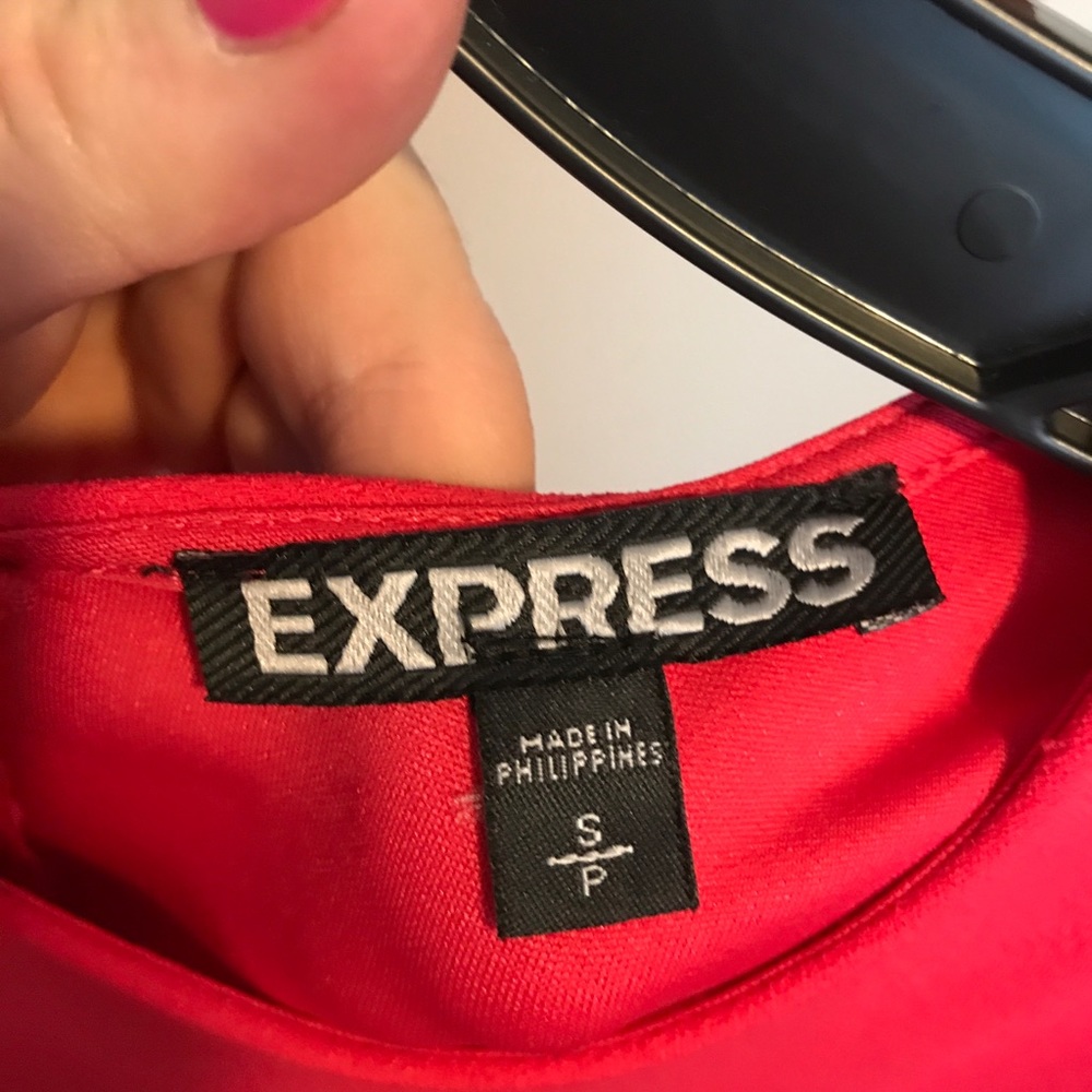 Express Dress - Picture 3 of 3